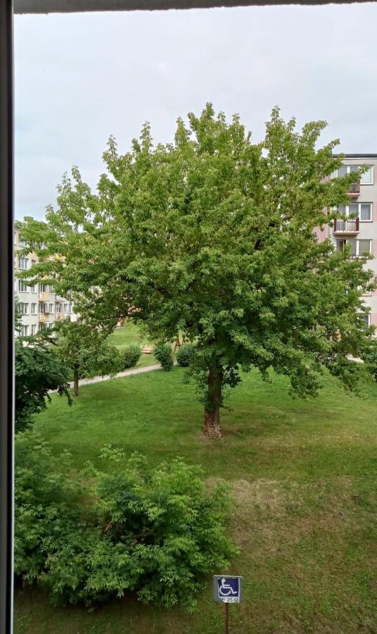 Apartament Mazury Ketrzyn Ngoại thất bức ảnh