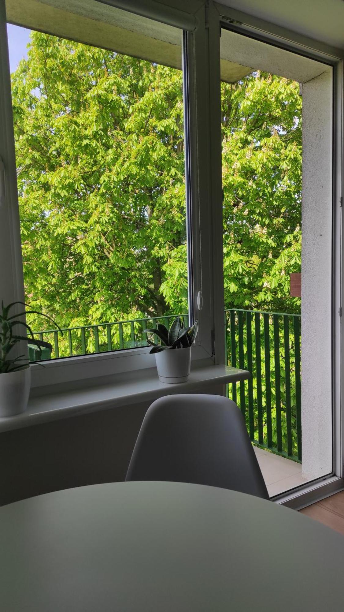 Apartament Mazury Ketrzyn Ngoại thất bức ảnh